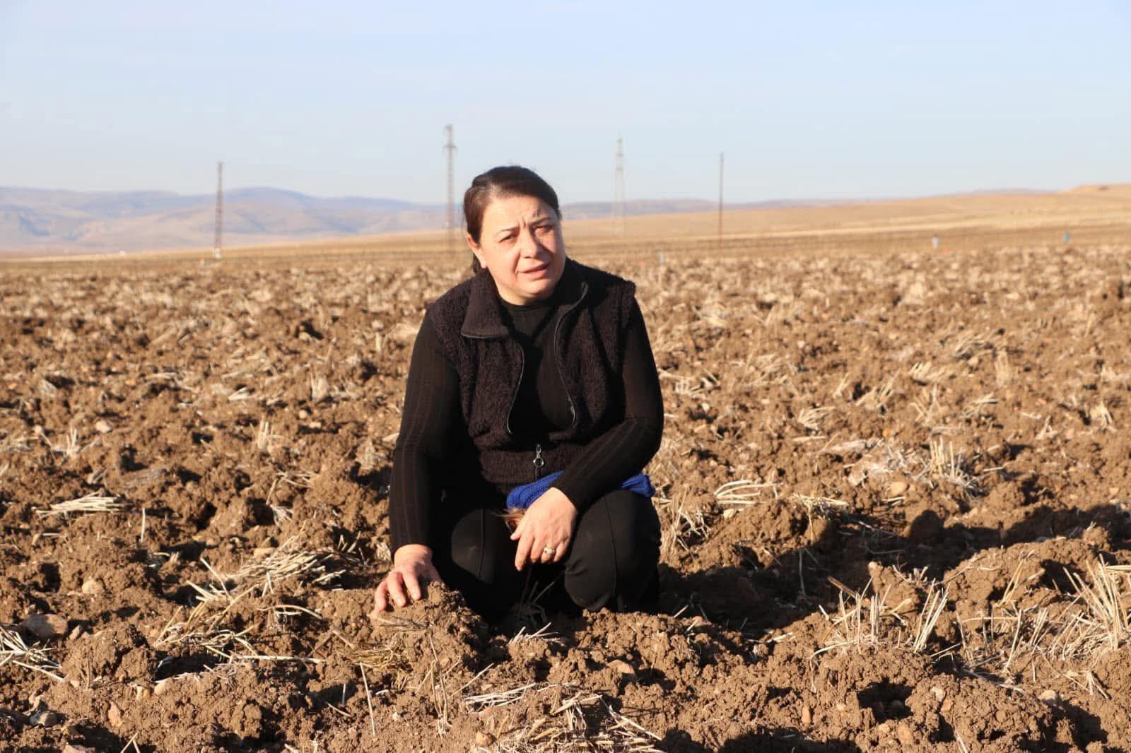 Sandıklı'da Şap Hastalığı Üreticileri Zorluyor