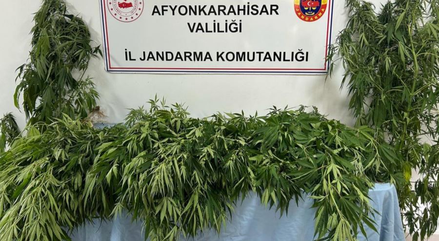 Jandarma’dan uyuşturucu operasyonu